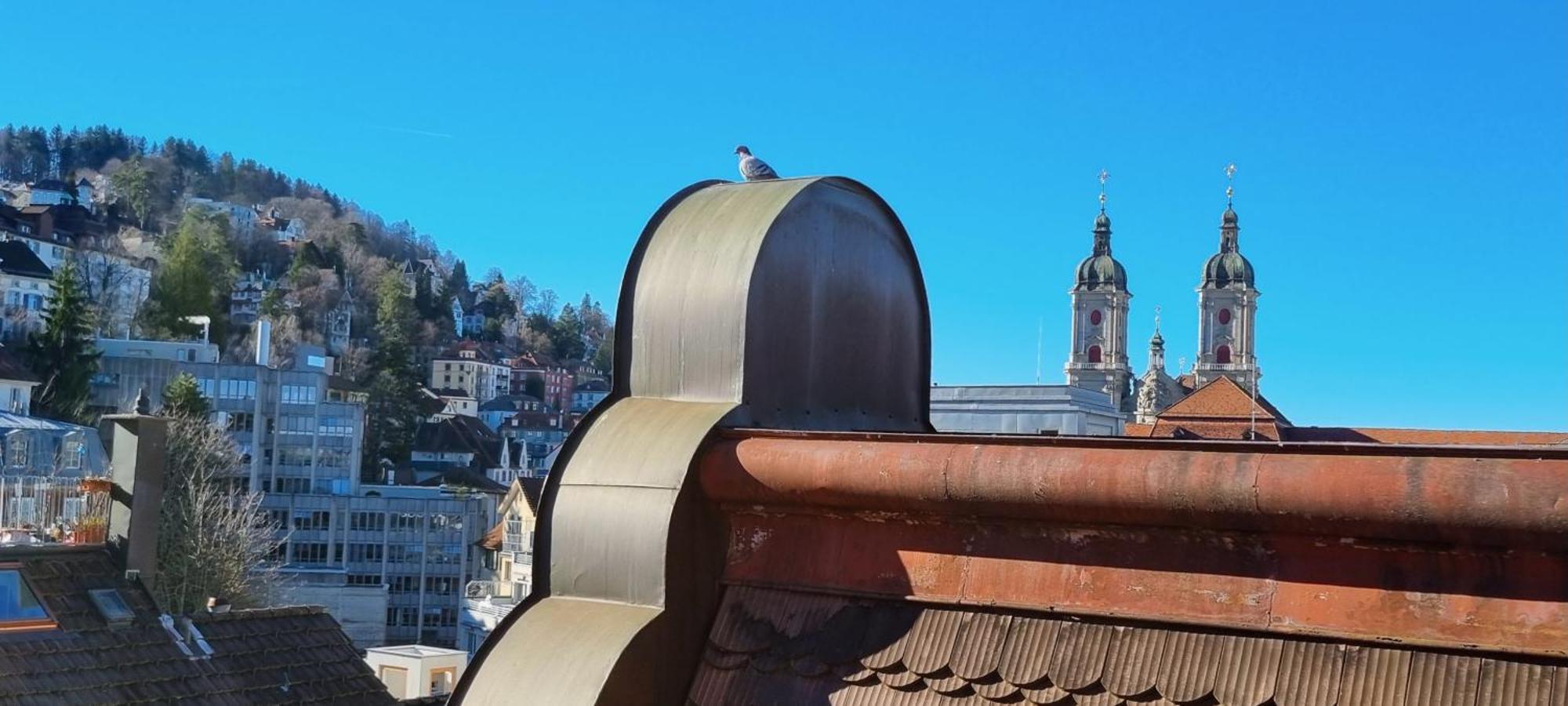 Ruhige, Neue Dachwohnung An Altstadt, Naehe Messe St. Gallen Exterior photo